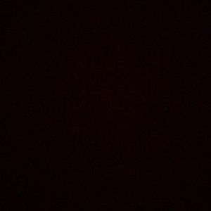 Meet your Posher, Ava